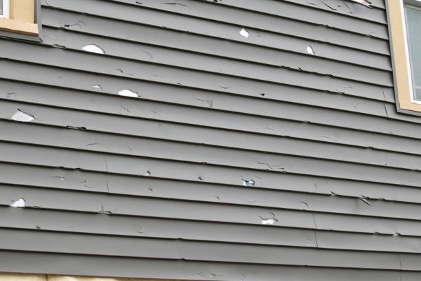 How To Choose The Right Materials for Your Siding Installation in 'Lesslie, SC